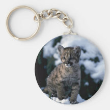 Cougar-young cub in snowy tree keychain