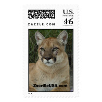 Cougar, ZoovilleUSA.com postage by Lionladie Cougar, ZoovilleUSA.com postage
