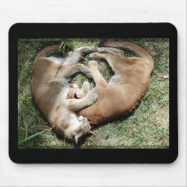 Cougars Love mousepads