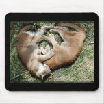 Cougars Love Mouse Pad