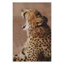 Could Scare A Lion stationery by laureenr Could Scare A Lion stationery