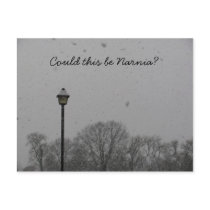 Could this be Narnia? postcards by TheWayISeeItPhotos Could this be Narnia? postcards