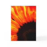 couleur de feu card