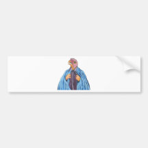Count Kestrel Bumper Stickers