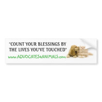 Count Your Blessings- BUMPER STICKER bumper stickers