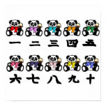 china, chinese, panda, panda bear, beijing, cute,