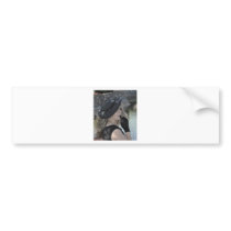 Counting Down the Days to Your Return Bumper Sticker