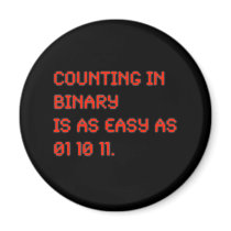 Counting in Binary magnets
