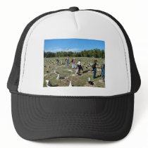 Counting Laysan Albatross Nests Mesh Hat