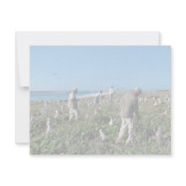 Counting Laysan Albatross Nests invitations