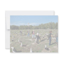 Counting Laysan Albatross Nests Personalized Invitations