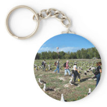 Counting Laysan Albatross Nests Keychain