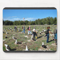 Counting Laysan Albatross Nests Mousepad