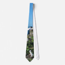 Counting Laysan Albatross Nests ties by animalpark Counting Laysan Albatross Nests ties