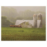 Country - Amish Farming Customized Letterhead