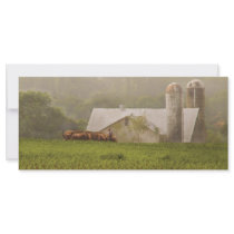 Country - Amish Farming Rack Card Template