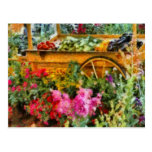 Country - At the farmers market Post Cards