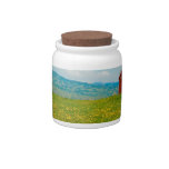 Country Barn Candy Jar