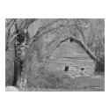 Country Barn Poster print