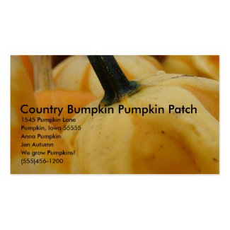Country Bumpkin Pumpkin Patch, 15... Business Cards