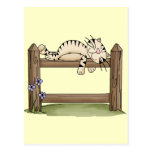 Country Cat Nap Postcard
