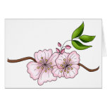 Country Cherries · Cherry Blossom Branch Card