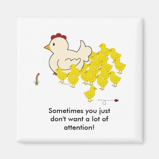 Country Chickens Attention Worm Fridge Magnet