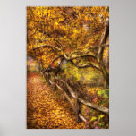 Country - Country road side Poster