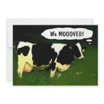 Country Cow Housewarming Party Invites