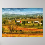 Country - Cows Grazing Poster