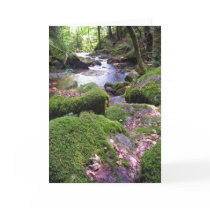 Country Creek Greeting Cards