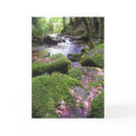 Country Creek cards