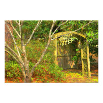 Country Days Print Medium