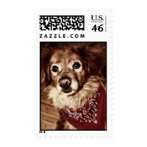 Country Dog Wearing a Bandanna Postage Stamp