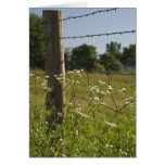 Country Fence Post and Wildflowers Greeting Card