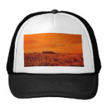 Country fields hat