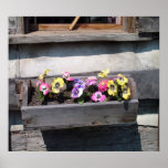Country Flowers posters
