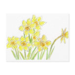 Country Garden Spring Daffodils Post Card