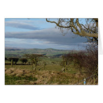 "Country Hills" Northumberland England Cards