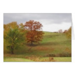 Country Hillside - Autumn Greeting Cards
