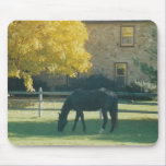 Country Horse - mousepad