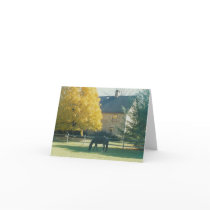 Country Horse - notecards by Horseshoes3 Country Horse - notecards