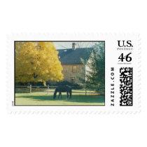 Country Horse - postage stamps by Horseshoes3 Country Horse - postage stamps