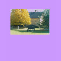 Country Horse - shirt by Horseshoes3 Country Horse - shirt