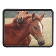 country horses eye Trailer Hitch Cover