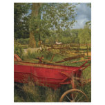 Country - In the country II flyers