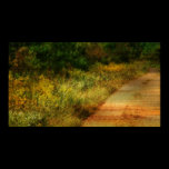 Country Lane and Flowers posters