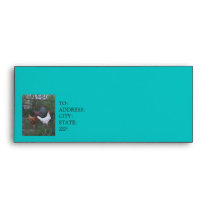 Country Life Envelope