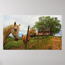 Country Living Poster posters