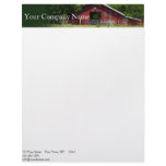 Country Living Red Barn Header Letterhead Design